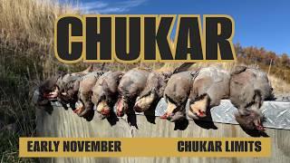 Chasing Chukar: Chukar Hunting LIMIT!