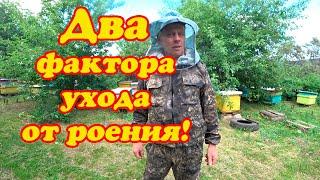 ДВА ОСНОВНЫХ ФАКТОРА УЙТИ ОТ РОЕНИЯ НА МОЕЙ ПАСЕКЕ.