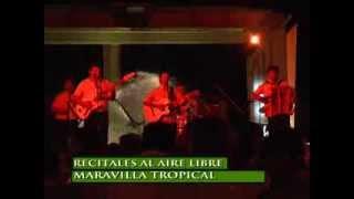 Maravilla Tropical en Chajari