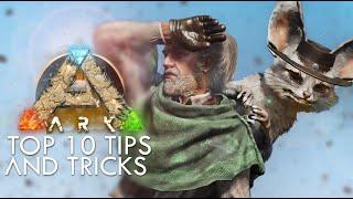 Top 10 Tips And Tricks To Survive Scorched Earth On Ark Survival Ascended