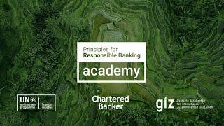 Launching the Principles for Responsible Banking Academy