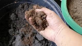 Creating Loam soil mix