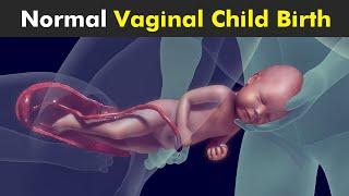 Vaginal Childbirth | How Baby Is Delivered From Female Body?
