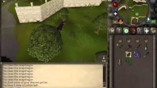 HOW TO DO A BASIC HERB RUN [OSRS Guide]