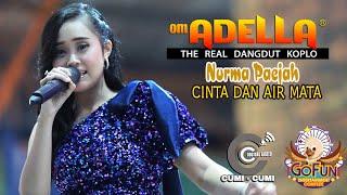 CINTA DAN AIR MATA || NURMA KDI || ADELLA ( Cipt. Fendik ADELLA) - Cumi Cumi Audio Live GoFun