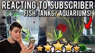 Reacting To Subscriber Fish Tank Aquariums!