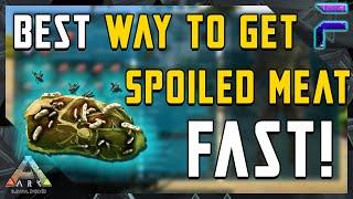 BEST WAY TO GET SPOILED MEAT! - Ark: Survival Evolved