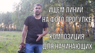 Композиция в фотографии  Линии