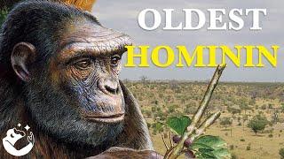 The Fascinating Origins of Hominins