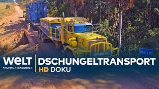 Schwertransport im brasilianischen Dschungel | HD Doku