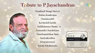 Tribute to P Jayachandran | Mohan Kondunjan | Mallikabanan Thante | Ekanthapathikan Njan