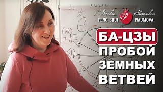 Пробой Земных Ветвей в Бацзы | Курс Ба-Цзы