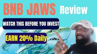 BNB JAWS REVIEW - Earn 20% Daily