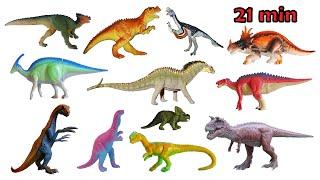 Dinosaur Species Collection - Triassic, Jurassic & Cretaceous - The Kids' Picture Show