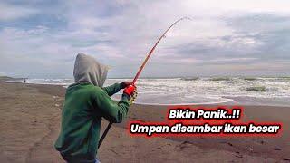 Luar Biasa..!! Baru asik mancing ikan kecil, tiba" ikan besar menyambar umpan || Mancing pasiran