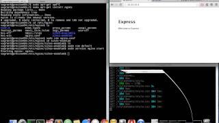 Nginx Tutorial - Proxy to Express Application, Load Balancer, Static Cache Files