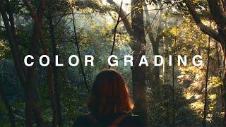 Color Grading | How and why we use FilmConvert to grade our videos