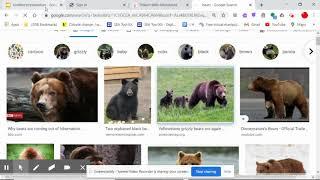 How to Put Borders on Pictures in Google Slides