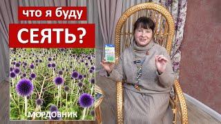 Что я буду сеять в этом году? Необычные МНОГОЛЕТНИКИ и ЗЛАКИ!