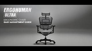 Ergohuman Ultra II.