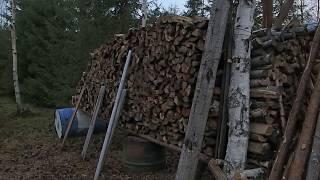 Sodankylä Suvantokumpu 2015. Pohjantikka hakee matoja parkin alta puista. Osa 1.