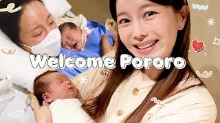 뽀로로 드디어 태어났어요  세상에 온걸 환영해 미소야 Ssoyoung's Baby was born ! Welcome Pororo 