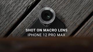 Shot on iPhone 12 Pro Max - SANDMARC Macro Lens