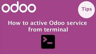 How to execute Odoo from terminal | odoo-bin | Active Odoo service | Odoo command line parameters