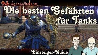 NEVERWINTER: Die besten Gefährten für Tank-Klassen -Einsteiger-Guide- Anfänger Tutorial PS4 deutsch