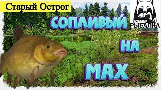 Russian Fishing4 #РР4... Оз.Старый Острог - Линь На Мах. Русская рыбалка 4