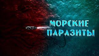 ЗАПРЕТНАЯ ЗОНА! НАДО БЫЛО ДУМАТЬ РАНЬШЕ! НОВЫЙ ФАНТАСТИЧЕСКИЙ УЖАСТИК! Морские паразиты.