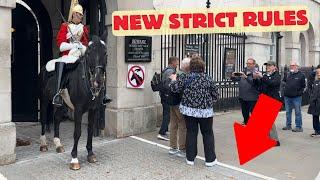 King's Guard Horses Return with New Rules – See New STRICT Safety Measures!