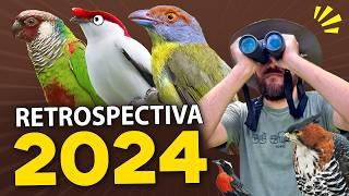 Passarinhadas, Expedições e muitas Aves Raras! RETROSPECTIVA 2024