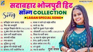 सदाबहार भोजपुरी हिट सांग Collection |#पूजा यादव का सबसे हिट गाना |#Bhojpuri Hits Viral Song | 2024