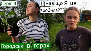 Серія 4 / Вирішила посадити в грунт огірки і кабачки на початку травня, в горах... І куди спішила?..