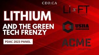 Lithium & the Green Tech Frenzy