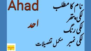 Ahad name meaning in Urdu|Ahad Naam Ka matlab|Baby boy name|Ayesha InfoTv