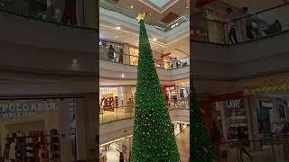 100ft christmas Gift Tree Gift