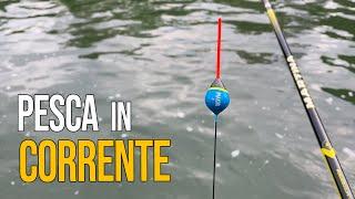 Pesca Bolognese | Una pescata Divertente in CORRENTE con i BIGATTINI INCOLLATI