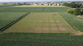 L'agricoltura bio-rigenerativa: tornare al passato per avere un futuro