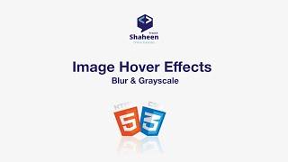  How to create a Image Hover Effects Blur & Grayscale css  