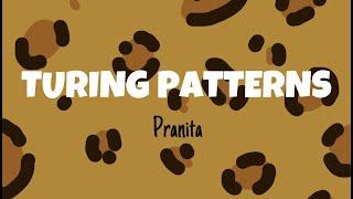 Turing Patterns