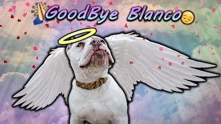 GoodBye Blanco