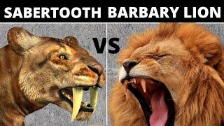 Saber-Toothed Tiger(Smilodon) vs Barbary Lion