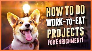 Practical Dog Owner's Guide to Work-to-Eat Projects for Mental and Emotional Health Boost