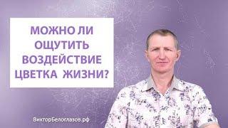 Можно ли ощутить воздействие Цветка Жизни? Виктор Белоглазов | Сакральная геометрия