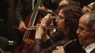 Beethoven / "Calm Sea and Prosperous Voyage", op. 112 | The Israel Camerata Jerusalem | Herreweghe