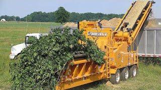 Amazing Dangerous Wood Chipper Machines Working, Fastest Powerful Tree Shredder Machines Technology