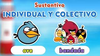 Sustantivo Individual y Colectivo