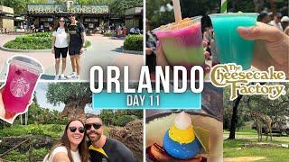 Animal Kingdom, Kilimanjaro Safaris & The Cheesecake Factory  | Walt Disney World Day 11